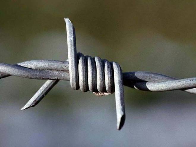 Barbed Wire