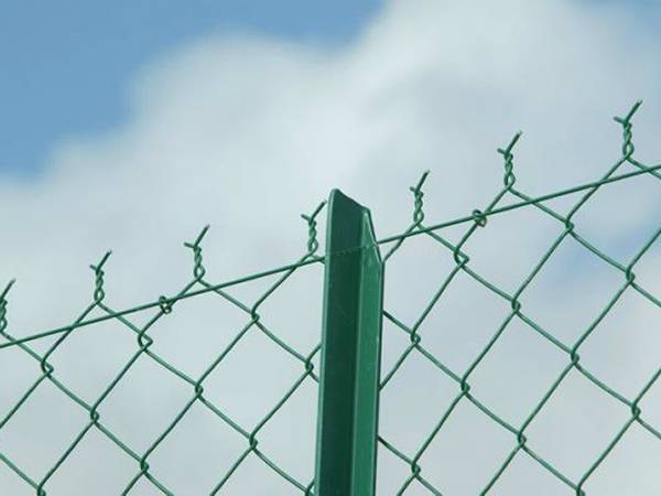 Chain Link Fence