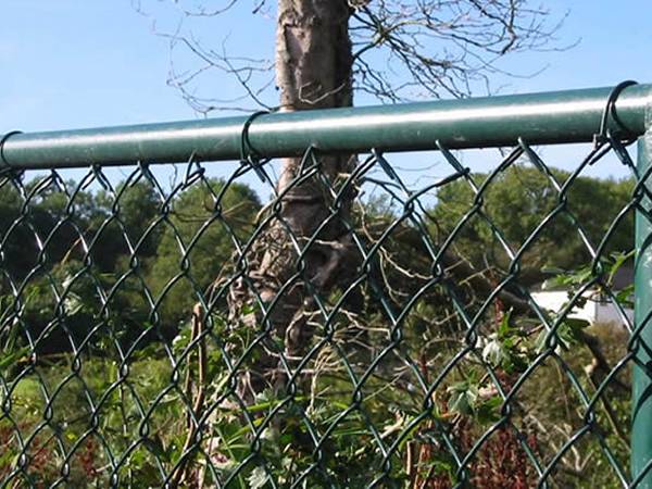 Chain Link Fence