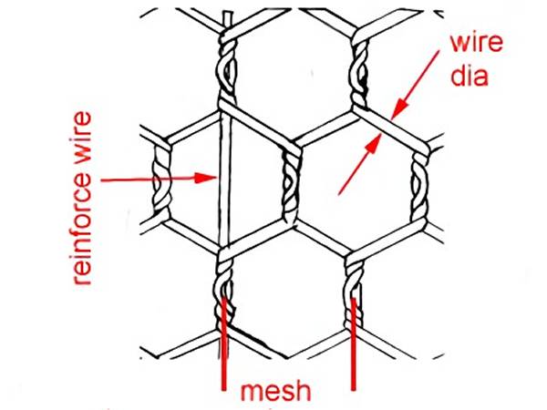 Hexagonal Wire Netting